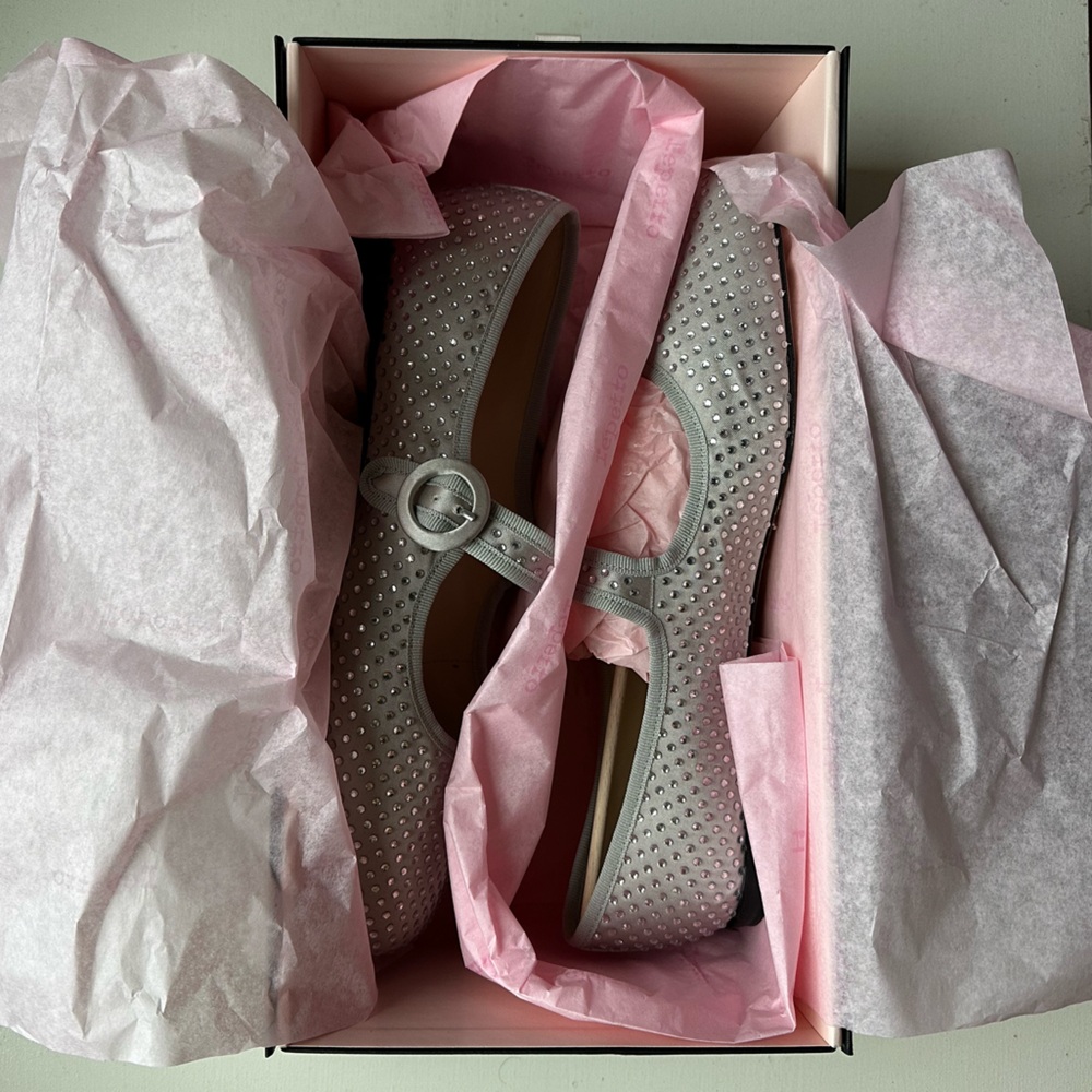 NWB Repetto Gray and Silver Georgia Mary Jane Ballerina Flats - Picture 6 of 9